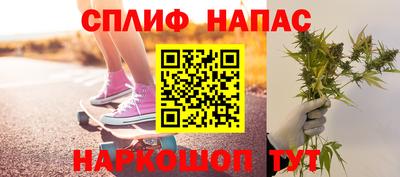 хмурый Тула