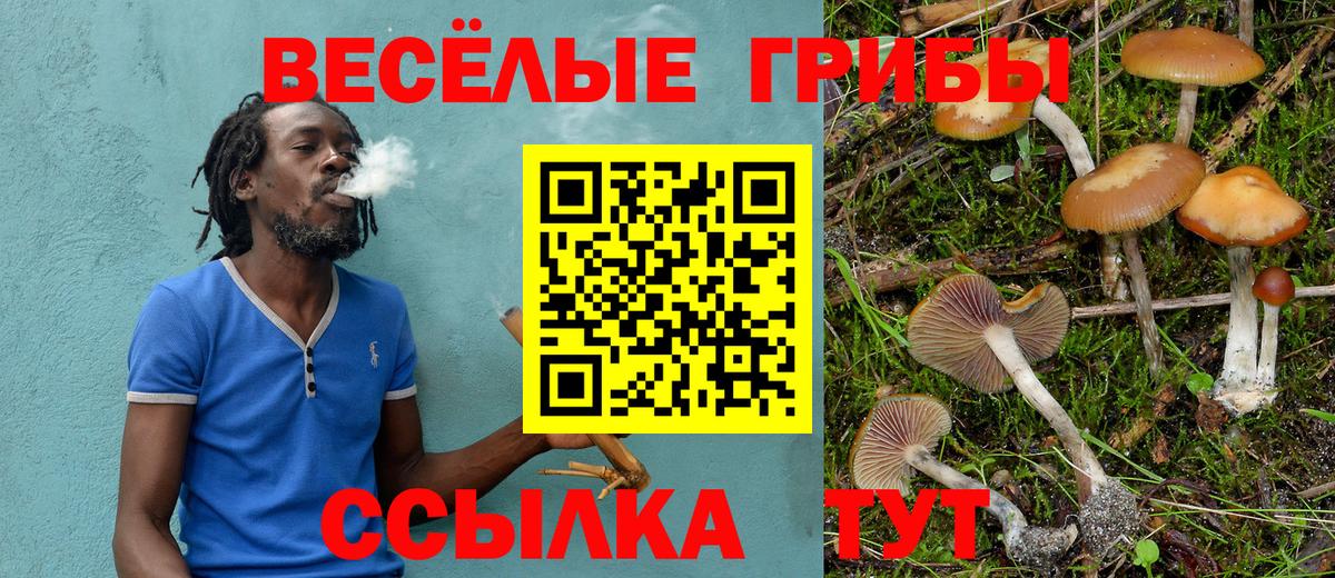 Галлюциногенные грибы мицелий Джанкой
