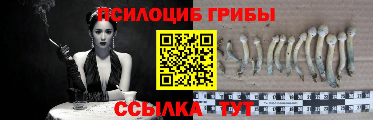 Джанкой  Псилоцибиновые грибы мухоморы  Галлюциногенные грибы GOLDEN TEACHER  Вход с VPN 